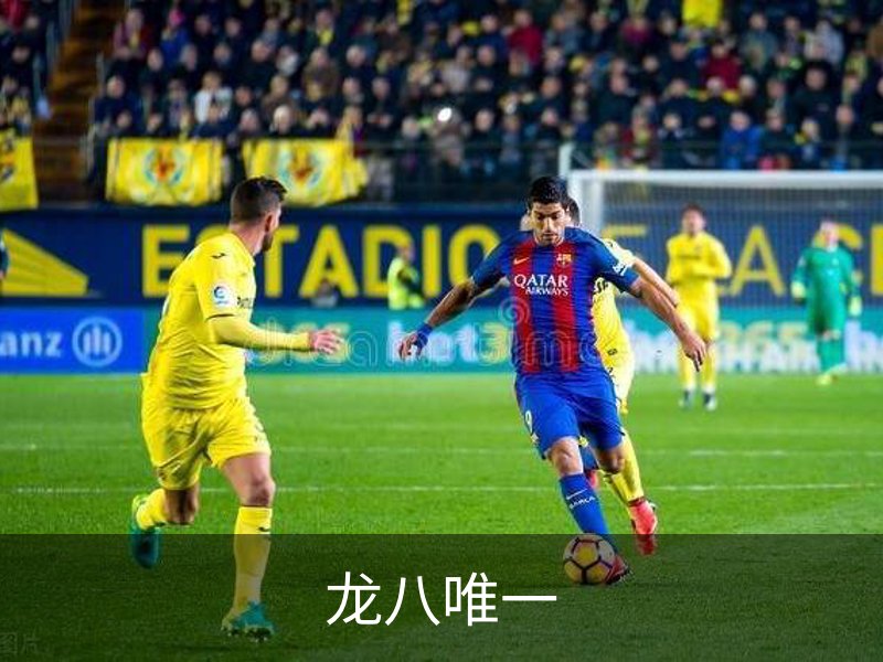 龙八唯一简介